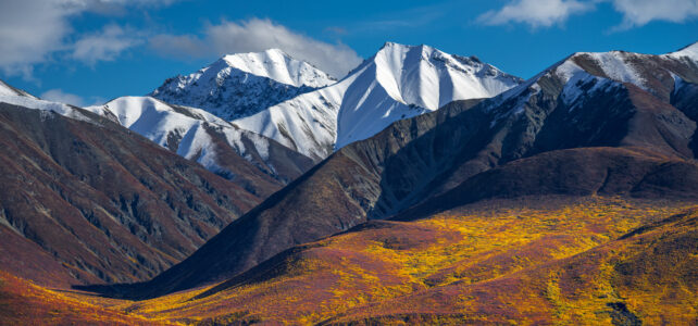 Getting Cozy with Alaskan Wonders: My Week Among Glaciers and Grizzlies!